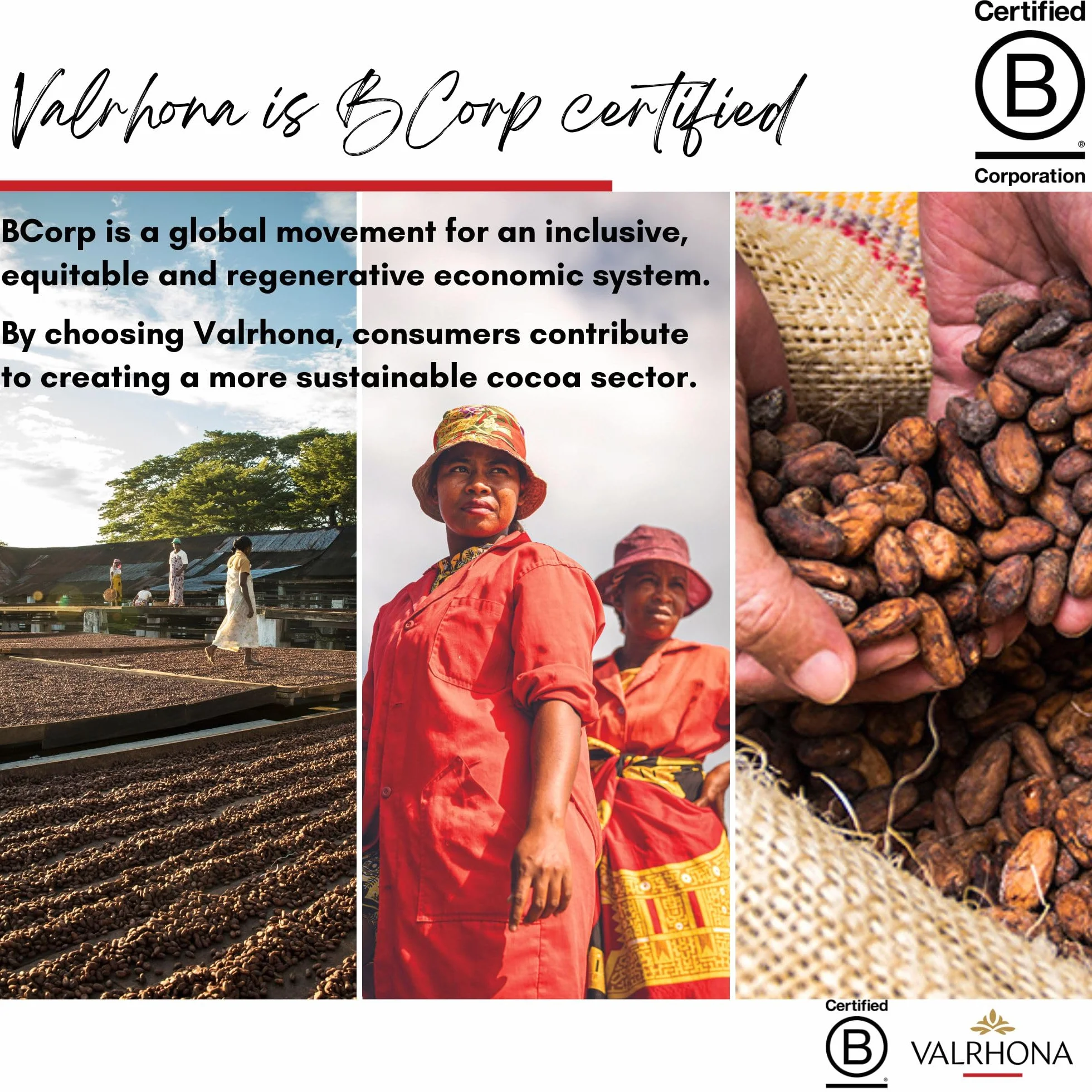 Sac de fèves Caraïbe 66 % Valrhona