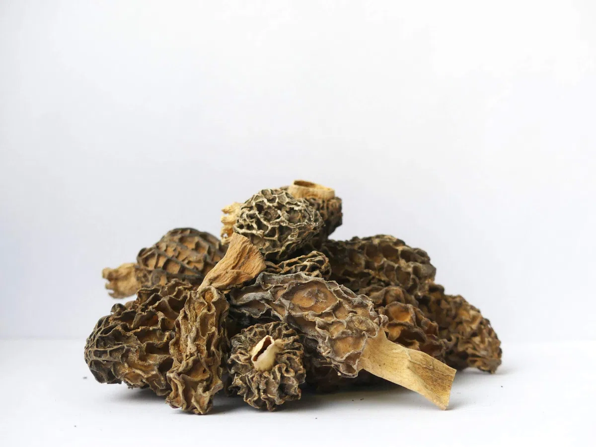 Sabarot - Morilles extra séchées 100g