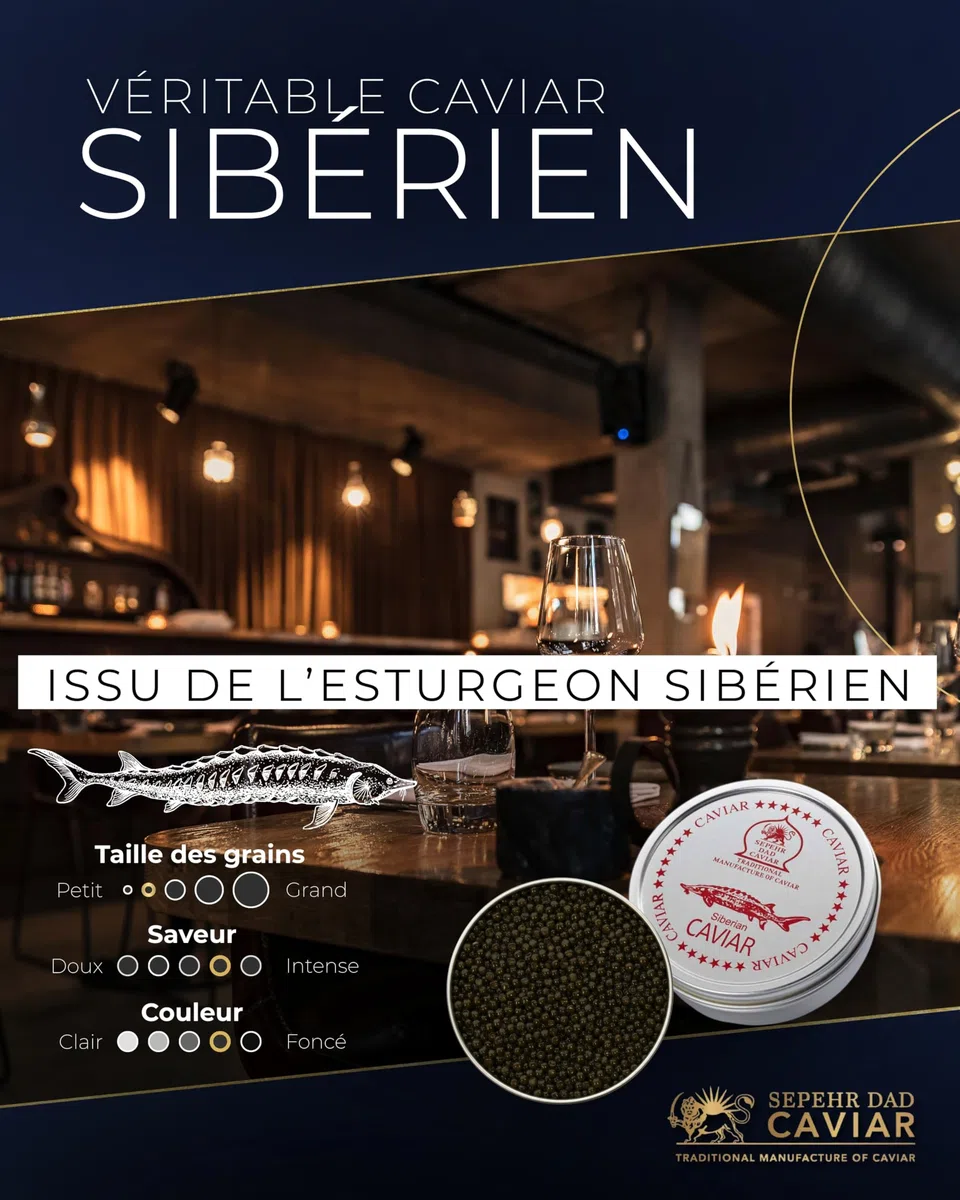 Sepehr Dad Caviar de Sibérie | Caviar d'esturgeon de Sibérie | Elevage UE | 250g