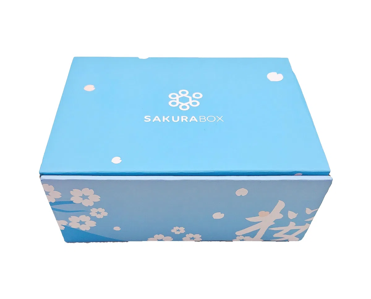 Assortiment de boîtes de bonbons japonaises et brochure anglaise 40 collations et bonbons Dagashi, gomme, bonbons gélifiés, ramune