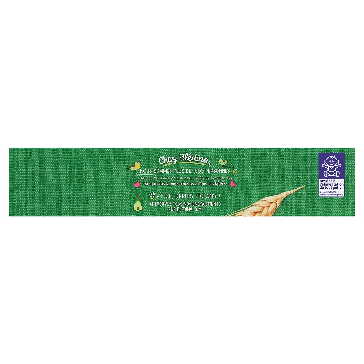 Blédina Mon 1er Petit Beurre aux Pépites de chocolat lot de 12