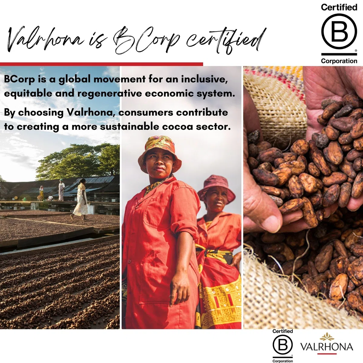 Fèves chocolat blanc IVOIRE Valrhona 1kg