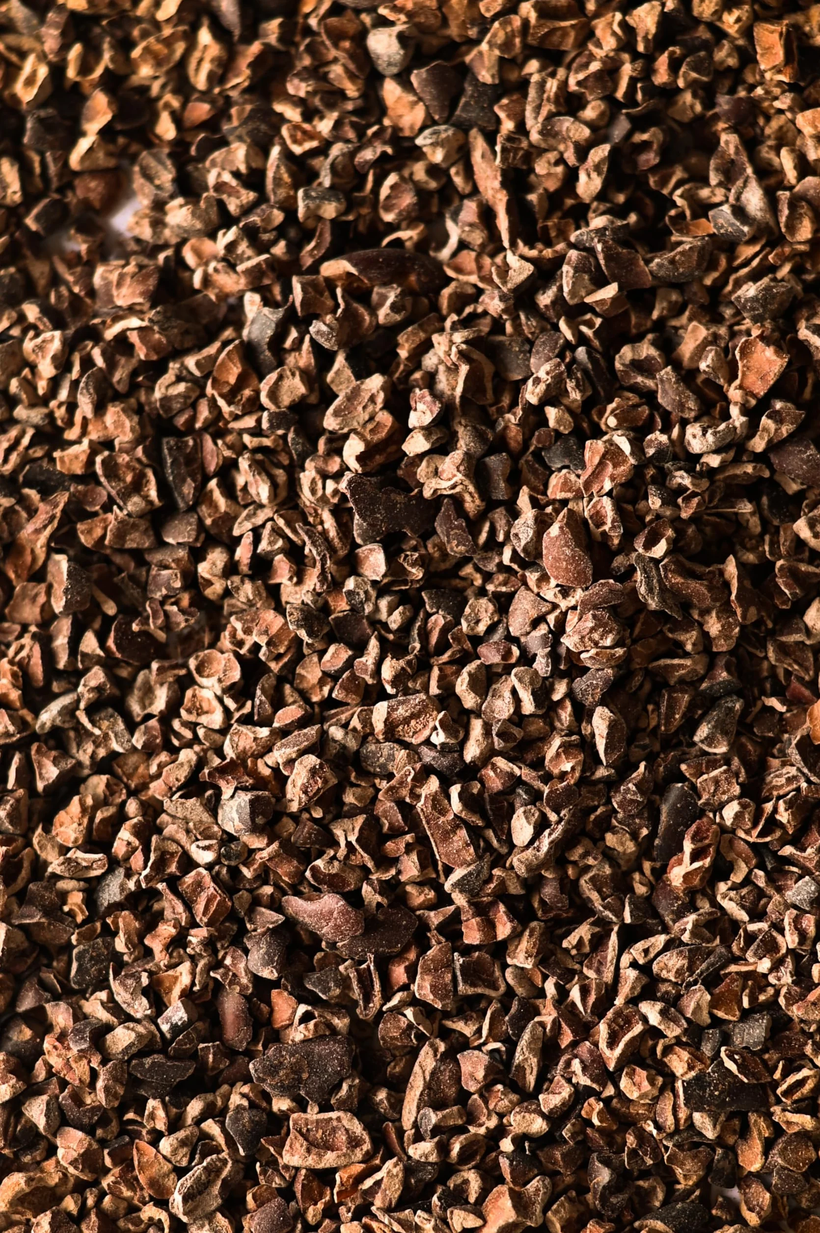 Biojoy Grué de Cacao BIO (1 kg), crus et sans sucre ajouté, Cacao nibs (Theobroma cacao)