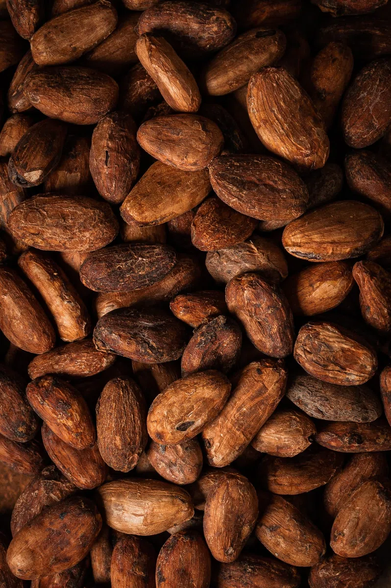 Biojoy Fèves de Cacao BIO (1 kg), crues et entières, sans sucre ajouté (Theobroma cacao)