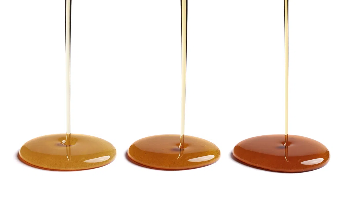 Escuminac Sirop D'érable du Québec - Pur, Embouteillé au domaine, non mélangé. Trio Cadeau - trois différentes récoltes, Ambré, Medium, Robuste. Premium Certifié Biologique - 3 X 200ml