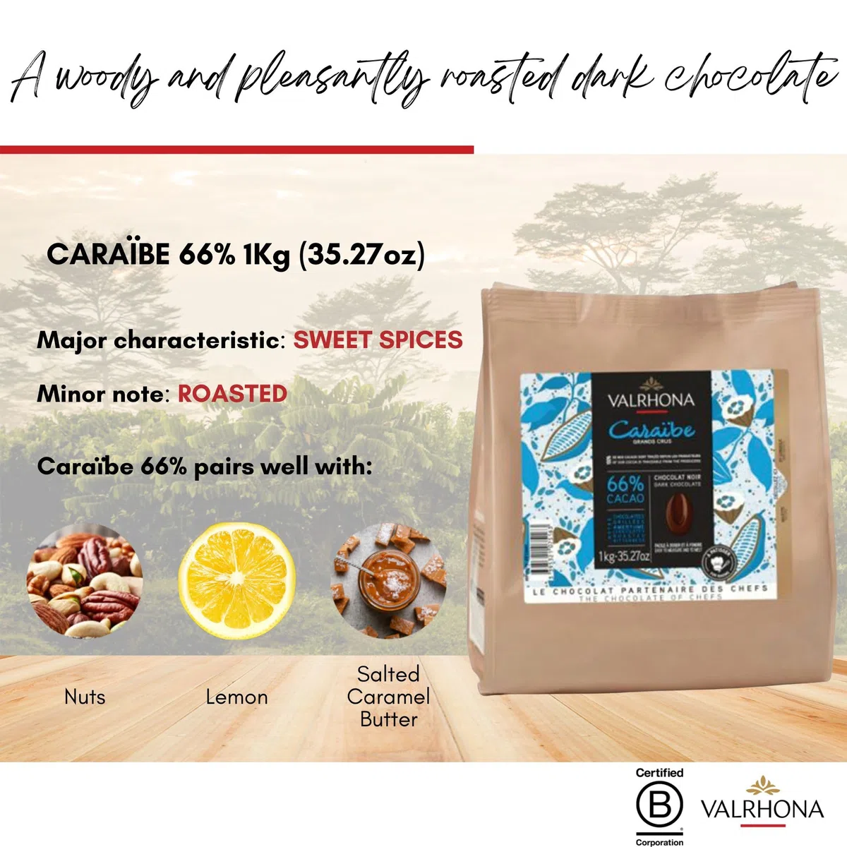 Sac de fèves Caraïbe 66 % Valrhona